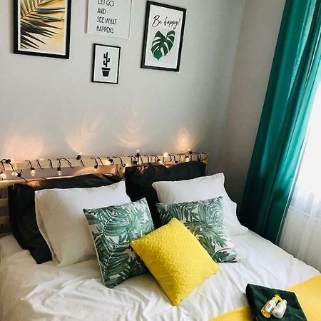 Pineapple Apartment コウォブジェク エクステリア 写真
